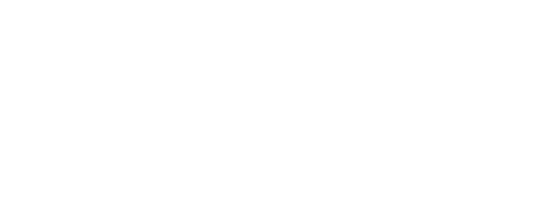 Modèle Trigger - Wizard Guitars