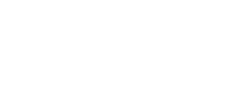wizard custom shop